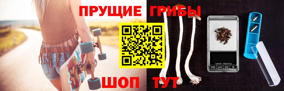 Псилоцибиновые грибы мицелий  Вход с VPN  Псилоцибиновые грибы Psilocybine cubensis  Елабуга 